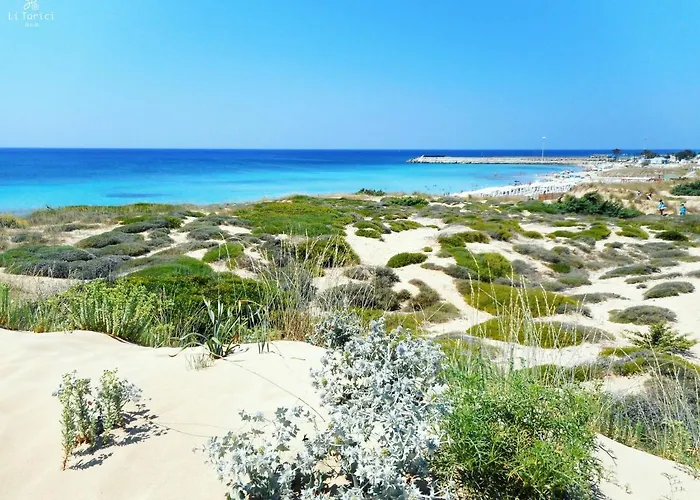 Li Tarici 마루지오