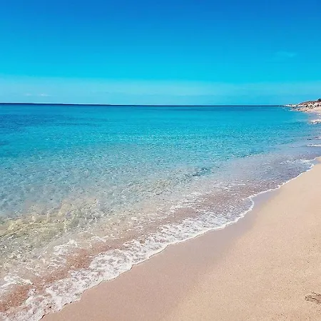 Li Tarici Маруджо