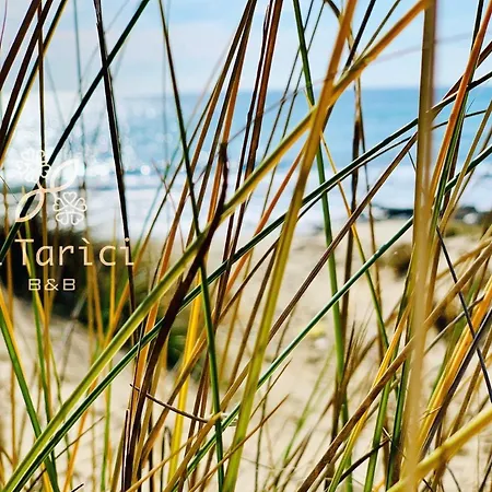 Li Tarici