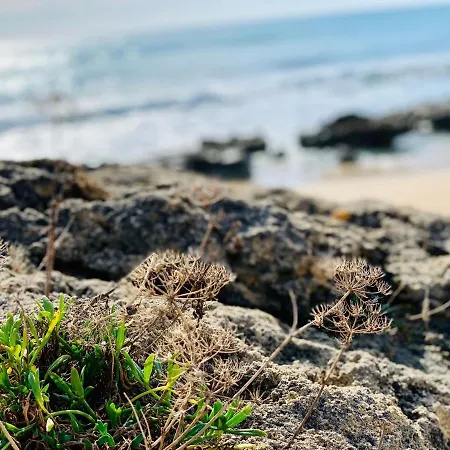 Li Tarici Bed & Breakfast Maruggio