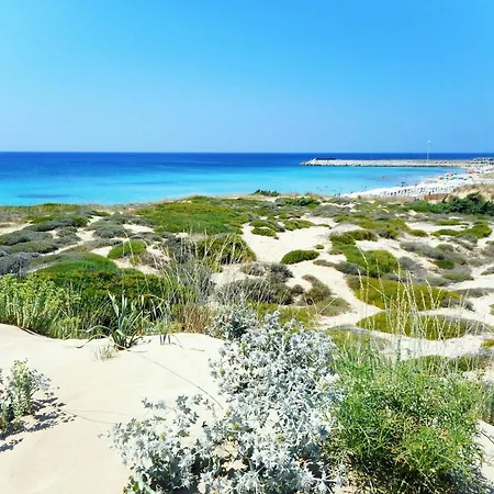 Li Tarici Маруджо